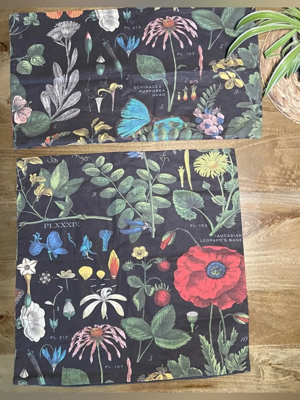 Pottery Barn Poppy Botanical Pillow Covers